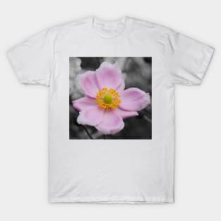 Japanese Anemone T-Shirt